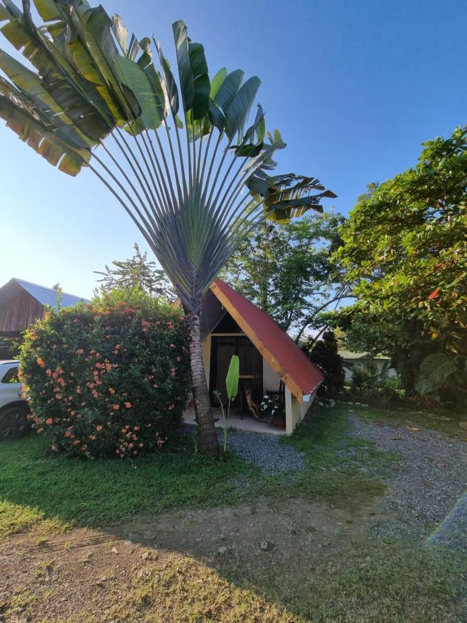 Ballena Oasis Homes & Glamping Uvita Exterior foto