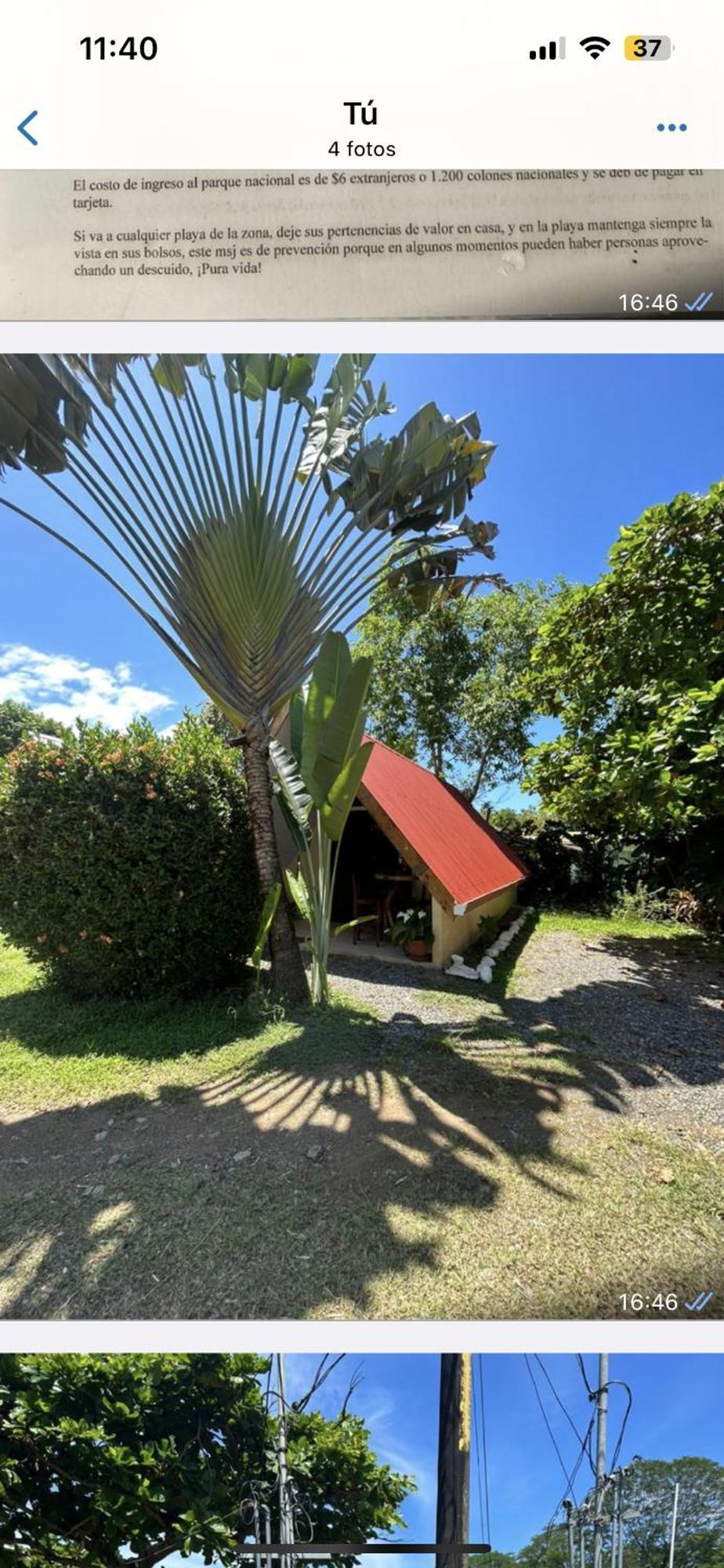 Ballena Oasis Homes & Glamping Uvita Exterior foto