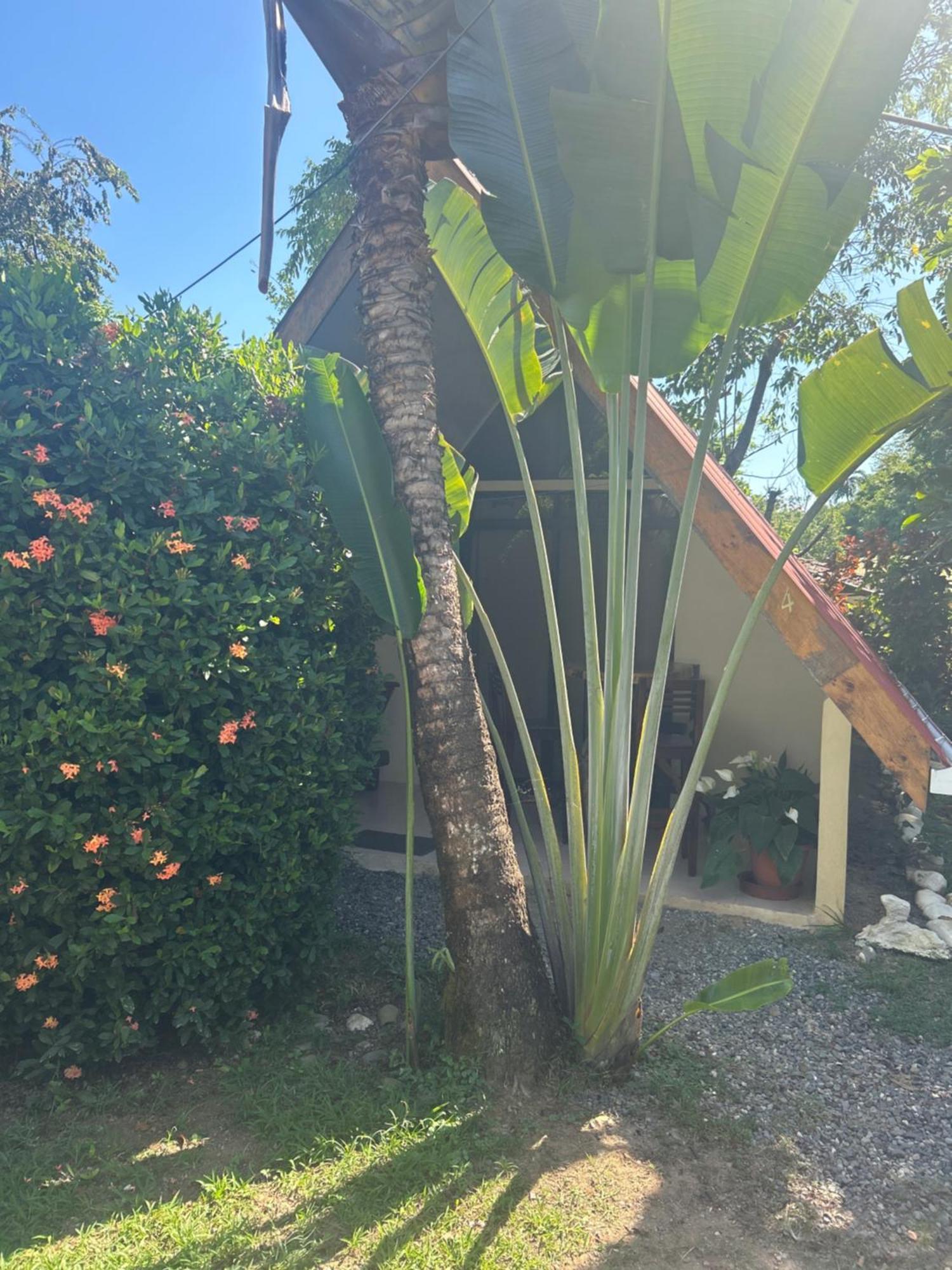 Ballena Oasis Homes & Glamping Uvita Exterior foto