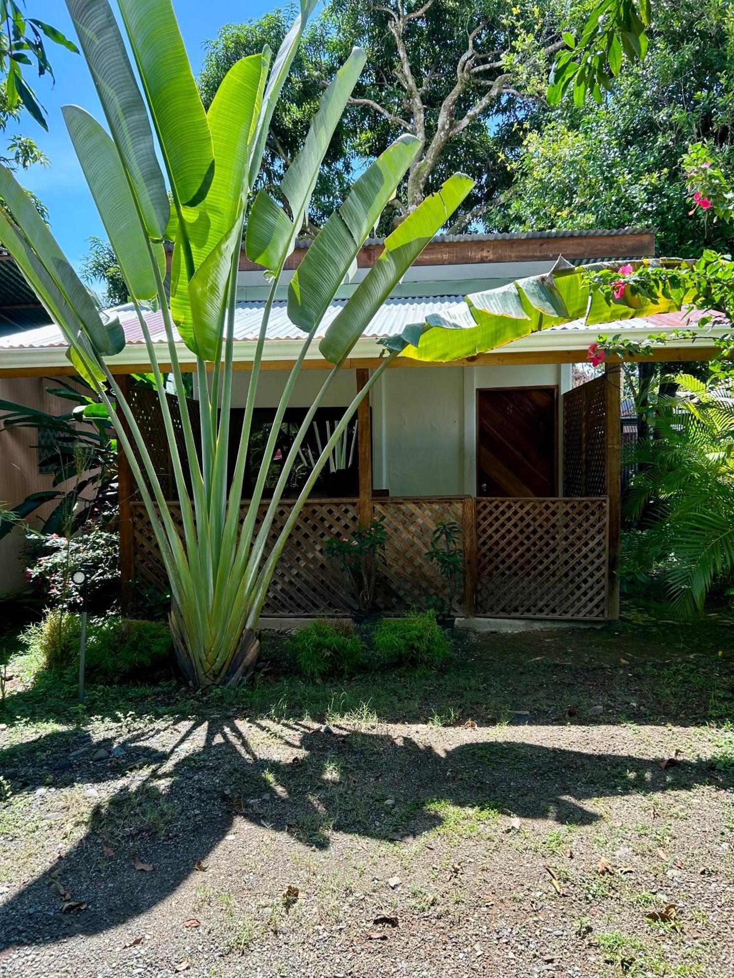 Ballena Oasis Homes & Glamping Uvita Exterior foto